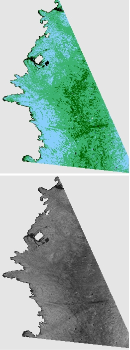 xarray's plot function output: top = classified surface, bottom = albedo map