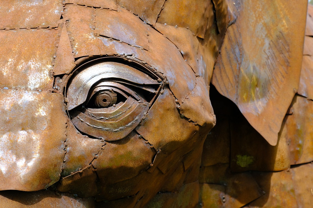 Close-up of eye on an elephant
sculpture